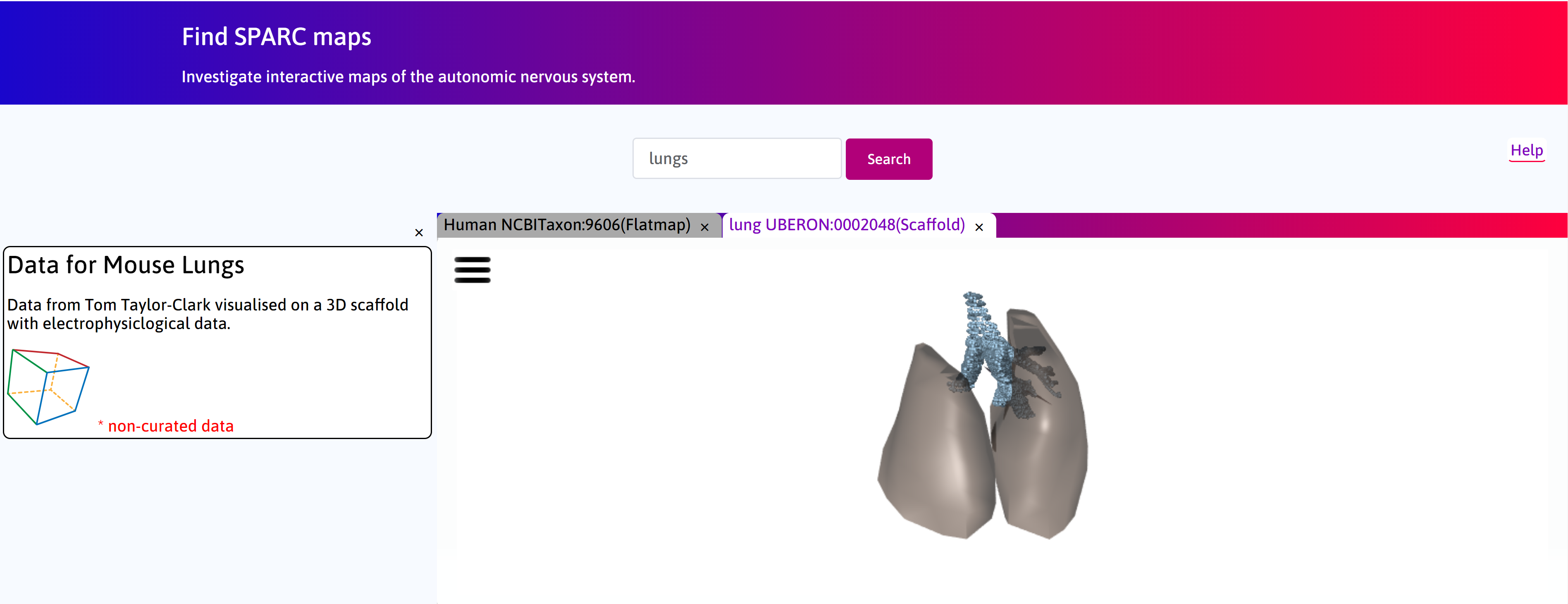 _images/lungs_03.png